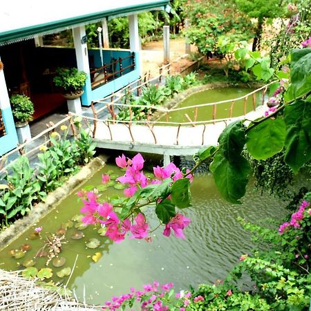 סיגירייה Hungry Lion Resort מראה חיצוני תמונה