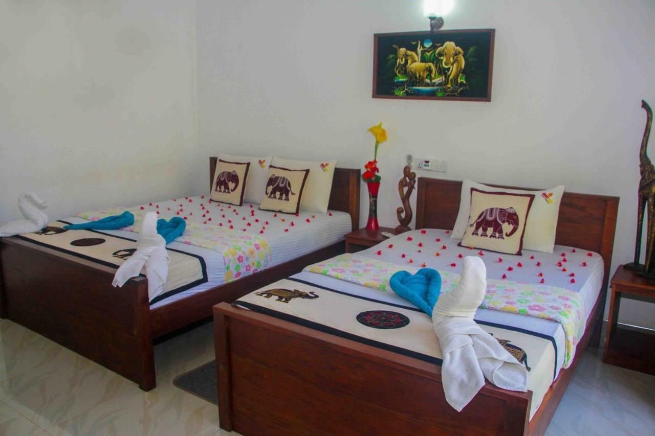 סיגירייה Hungry Lion Resort מראה חיצוני תמונה